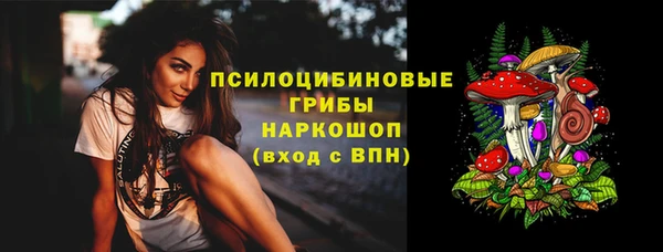 тгк Верея